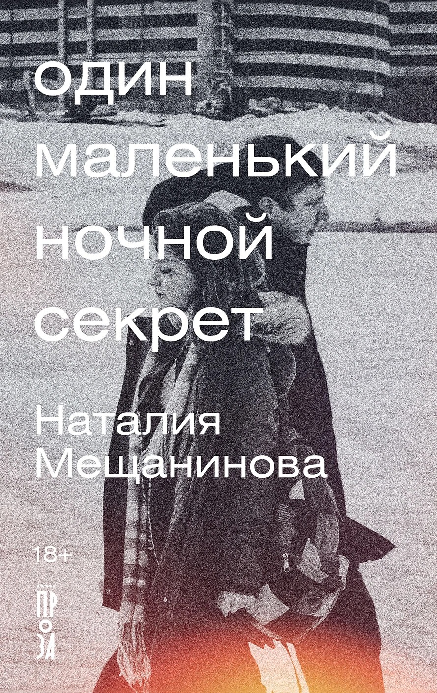 Художественная книга Альпина Один маленький ночной секрет твердая обложка (Мещанинова Наталия) — фото 1