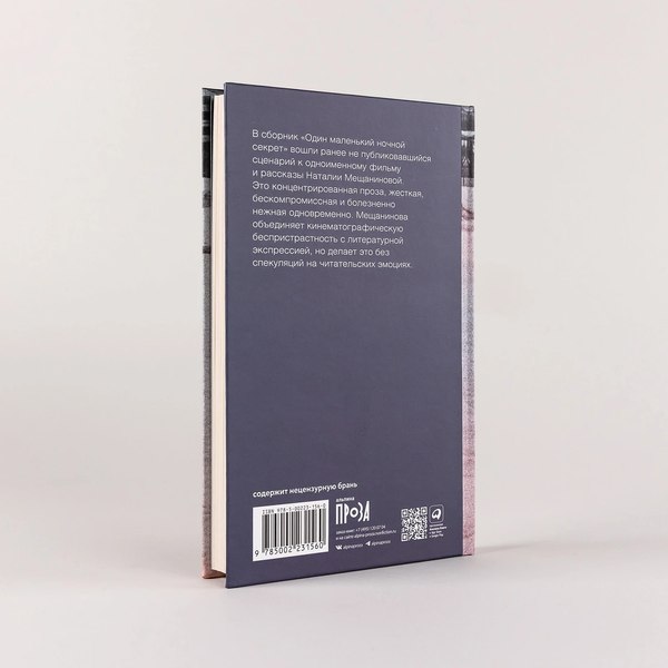 Книга Альпина Один маленький ночной секрет твердая обложка (Мещанинова Наталия)