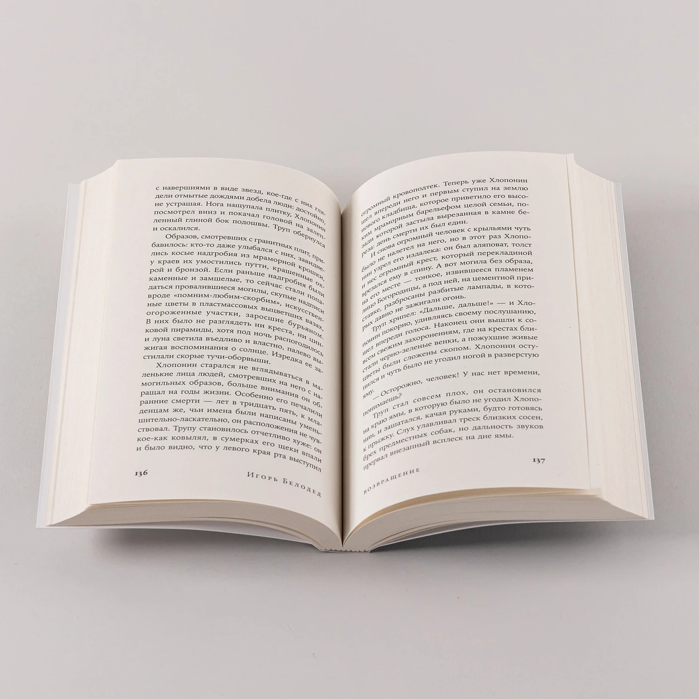 Художественная книга Альпина Утро было глазом мягкая обложка (Белодед Игорь) — фото 6