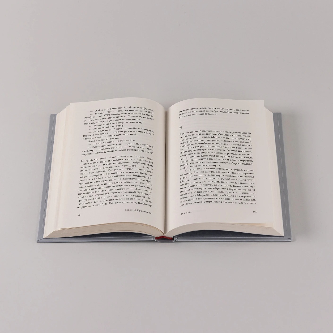 Художественная книга Альпина Фаюм твердая обложка (Кремчуков Евгений) — фото 6