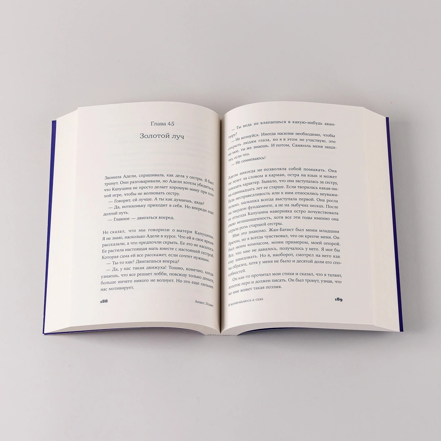 Художественная книга Альпина Я возвращаюсь к себе мягкая обложка (Ледиг Аньес) — фото 5