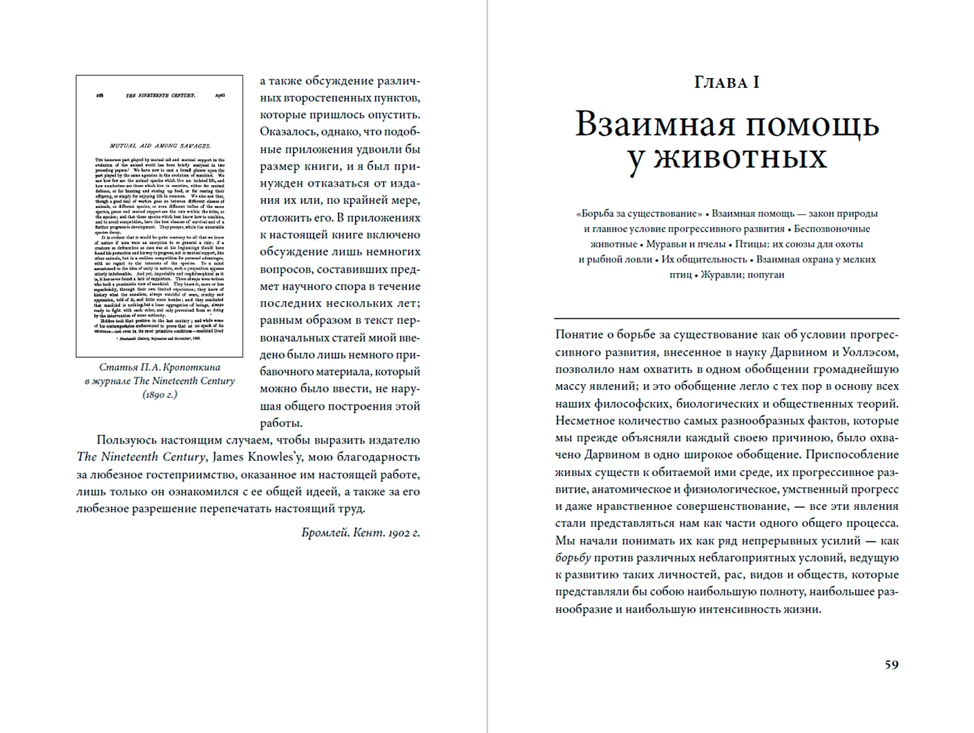 Нехудожественная книга Альпина Взаимная помощь, твердая обложка (Кропоткин П.) — фото 6