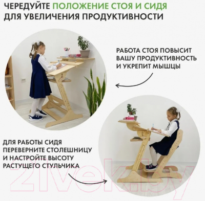 Парта+стул Движение-жизнь Хронос (без покрытия)