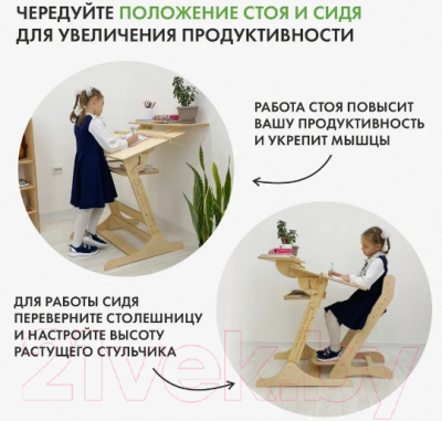 Парта+стул Движение-жизнь Хронос (масло)