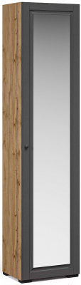 Шкаф-пенал Империал Лацио Сканди 1д с зеркалом ПР (вотан/сканди графит/ручка черная)