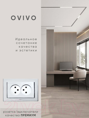 Розетка Ovivo Mina 401-100300-908 (серебристый)