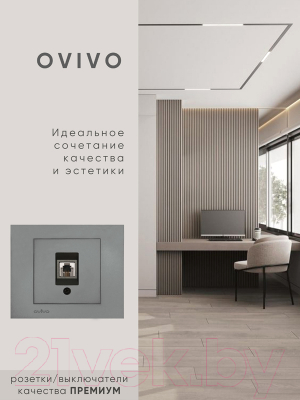 Розетка Ovivo 600-000311-221 (дымчатый)