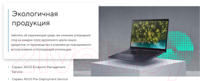 Ноутбук Asus ExpertBook B5 B5404CVA-QN0108X (90NX0701-M003W0)