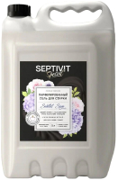 Гель для стирки Septivit Special Santal Sage (5л) - 