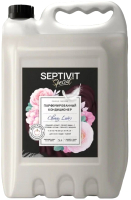 Кондиционер для белья Septivit Special Cherry Love (5л) - 