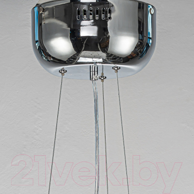 Потолочный светильник FAVOURITE 4305-12P