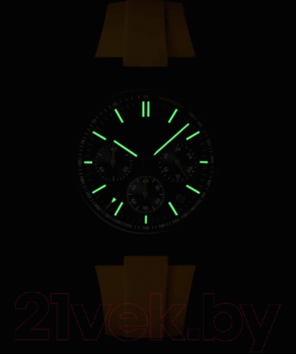 Часы наручные мужские Cluse CW20809
