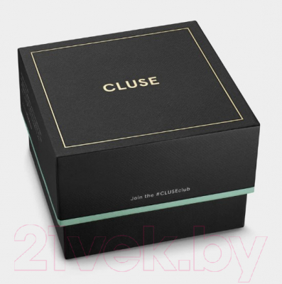 Часы наручные мужские Cluse CW21004