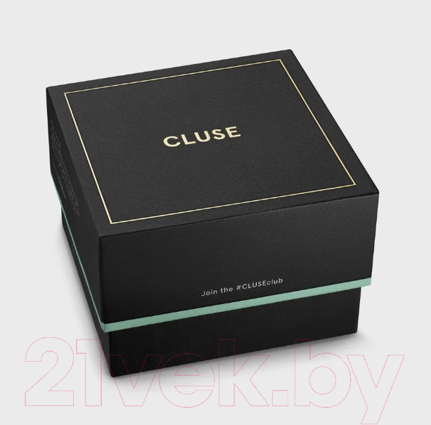 Часы наручные мужские Cluse CW21005