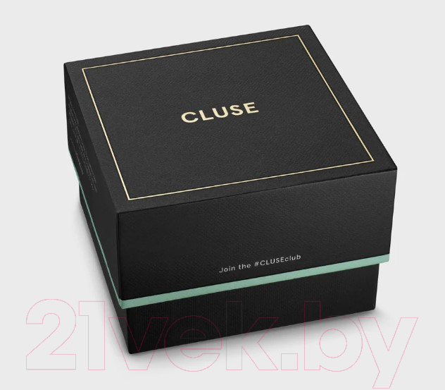 Часы наручные мужские Cluse CW22701