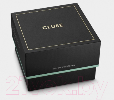 Часы наручные мужские Cluse CW22703