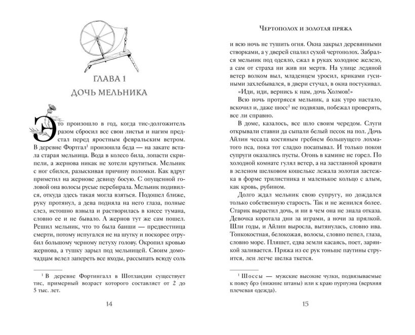 Художественная книга FreeDom Чертополох и золотая пряжа твердая обложка (Ершова Алена) — фото 3