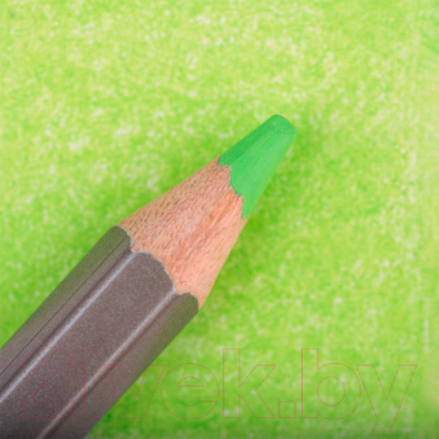 Изображение товара Набор цветных карандашей Малевичъ GrafArt Pro / 194040 (6шт, салатовый 040)