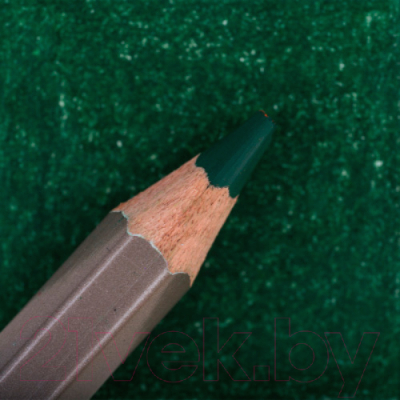 Изображение товара Набор цветных карандашей Малевичъ GrafArt Pro / 194046 (6шт, зеленый глубокий 046)