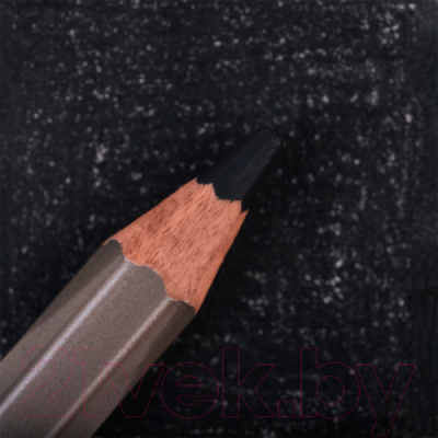 Изображение товара Набор цветных карандашей Малевичъ GrafArt Pro / 194070 (6шт, черный 070)