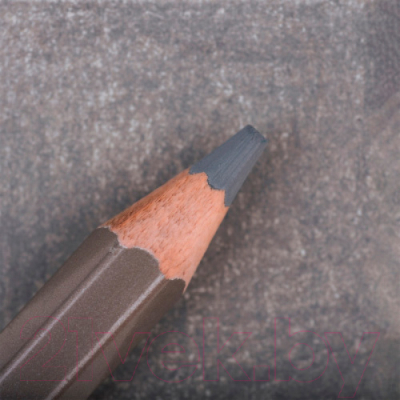 Изображение товара Набор цветных карандашей Малевичъ GrafArt Pro / 194113 (6шт, светло-серый 113)