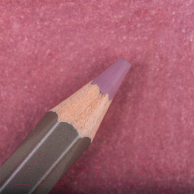 Изображение товара Набор цветных карандашей Малевичъ GrafArt Pro / 194138 (6шт, серо-розовый 138)