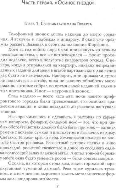 Книга Родина Конец Осиного гнезда, твердая обложка (Брянцев Георгий)