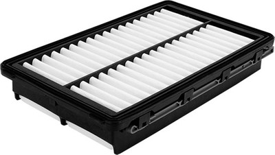 

Воздушный фильтр, AP198/5