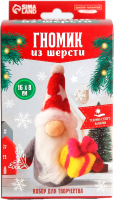 Набор для творчества Школа талантов Валяние из шерсти Гномик с подарком / 9895481 - 
