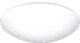 Потолочный светильник LuminArte C06LLS12W - 