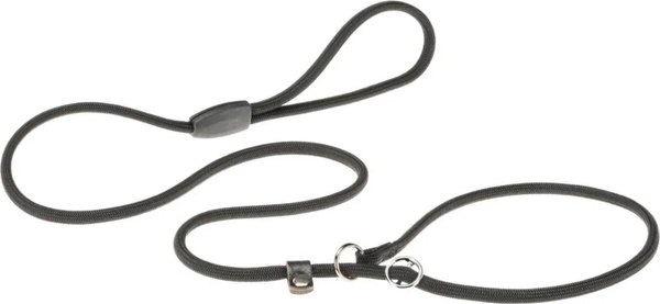 Ошейник с поводком Ferplast Sport GC13/170 / 75378917 (черный)
