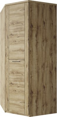 Шкаф Anrex Doorset угловой 1DG (дуб наварра) - 