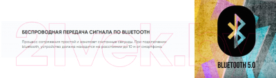 Портативная колонка SoundMax SM-PS5075B (черный)