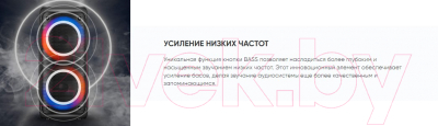 Портативная колонка SoundMax SM-PS5075B (черный)