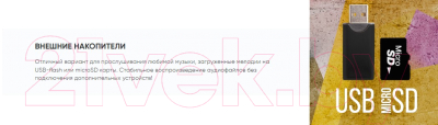 Портативная колонка SoundMax SM-PS5075B (черный)
