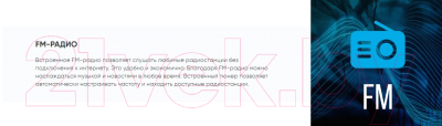 Портативная колонка SoundMax SM-PS5075B (черный)