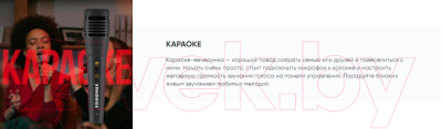 Портативная колонка SoundMax SM-PS5075B (черный)
