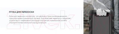 Портативная колонка SoundMax SM-PS5075B (черный)