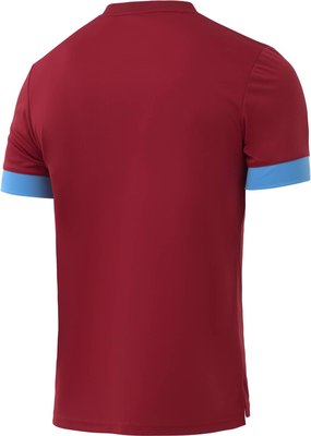 Футболка игровая футбольная Jogel Division PerFormDRY Union Jersey (YL, гранатовый/голубой/белый)