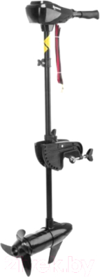 Мотор лодочный Nisus 50 LBS / N-TM-50