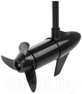 Изображение товара Мотор лодочный Nisus 50 LBS / N-TM-50