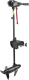 Мотор лодочный Nisus 50 LBS / N-TM-50 - 