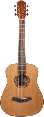 

Акустическая гитара Baton Rouge, AR11C/TB
