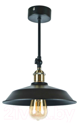 Потолочный светильник Decora Industrial 12300