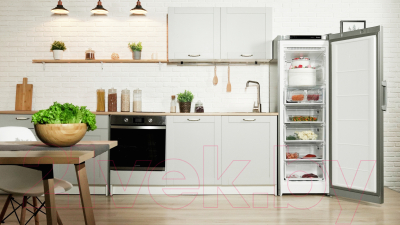 Изображение товара Морозильник Indesit DFZ 5175 S