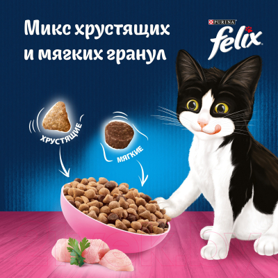 Сухой корм для кошек Felix Двойная вкуснятина для котят с курицей (600г)