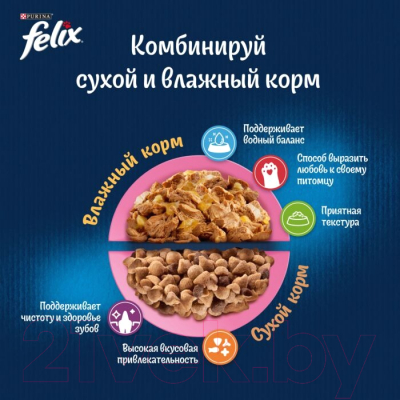 Сухой корм для кошек Felix Двойная вкуснятина для котят с курицей (600г)