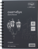 Скетчбук ГАММА Студия / 50SK03S730N (30л, черный) - 