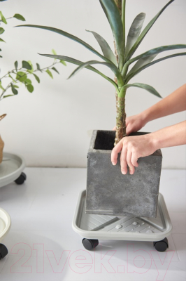 Поддон для вазона BOTANICA Квадратный (29.5x8.5см, серый)