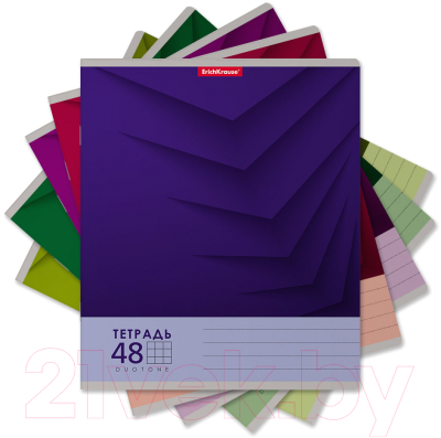 Изображение товара Тетрадь Erich Krause Duotone Next / 56598 (48л, клетка)